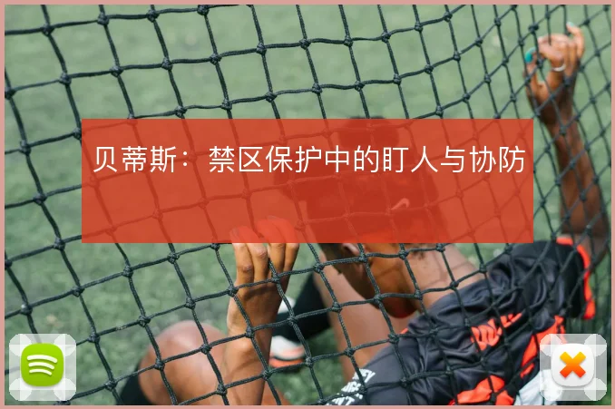贝蒂斯:禁区保护中的盯人与协防