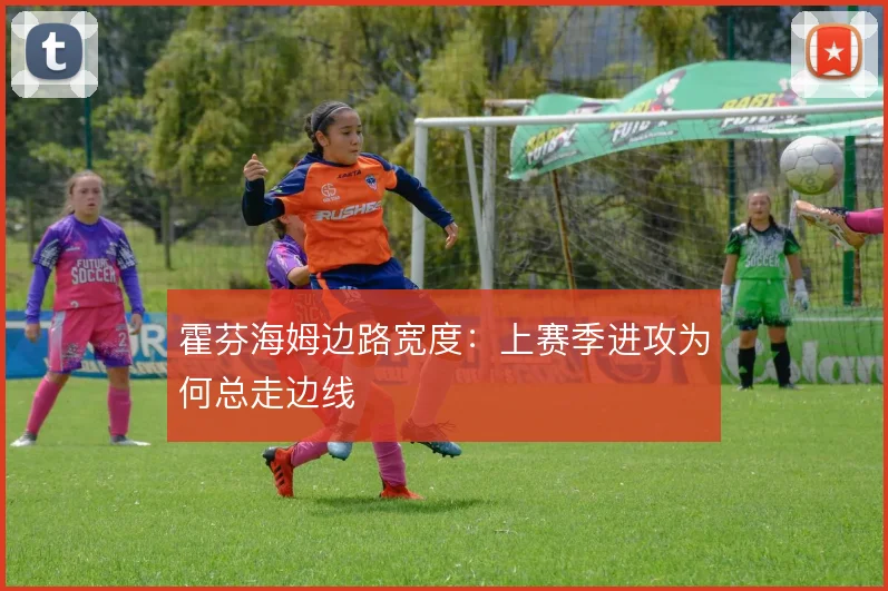 霍芬海姆边路宽度：上赛季进攻为何总走边线